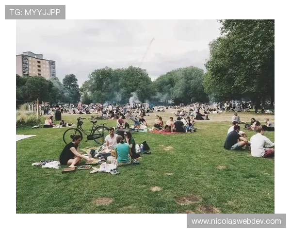探索旧金山娱乐活动推荐让你在城市中度过难忘的休闲时光